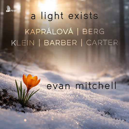 the album cover for Evan Mitchell - Light Exists