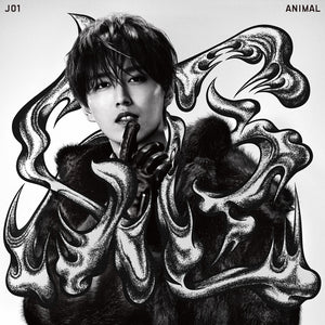 Pre-Order: JO1 - ANIMAL [Member Solo Jacket Ver Ruki]