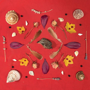 Secret Family - Grouse Head Talisman [LP]