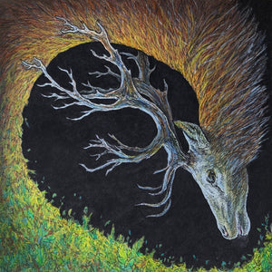 Pre-Order: Petrels - Infangthief [Digipak]