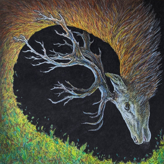 the album cover for Petrels - Infangthief [Digipak]