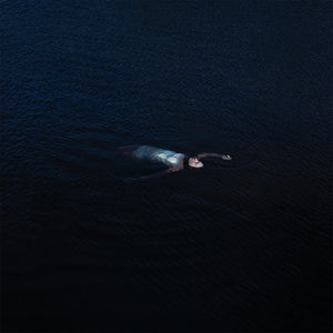 Pre-Order: Mustard Service - Paradise [LP]