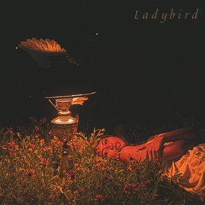 Pre-Order: Orca - Ladybird Ep [LP]