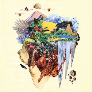Pre-Order: Agbeko - When The People Say [LP]