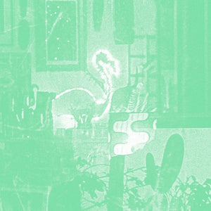 Pre-Order: Mike Cooper - Stochastic Parrot [CD]