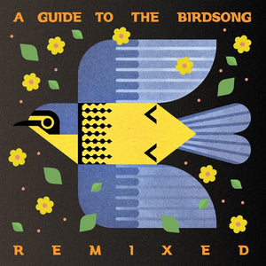 Pre-Order: Guide To The Birdsong Remixed / Various (Ogv) - Guide To The Birdsong Remixed / Various [180 Gram]