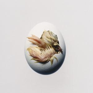 Pre-Order: Shygirl - SWALLOW! [CD]