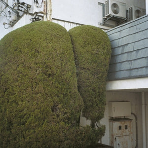 Pre-Order: Marja Ahti  / Mccowen,John - Errands [LP]