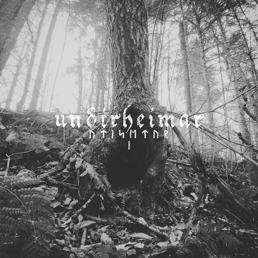 the album cover for Undirheimar - Utisetur I