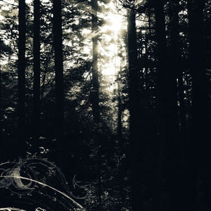 Pre-Order: Allison Graves - I Still Look For The Mountains [LP]