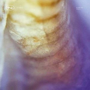 Pre-Order: Eluna Vex / Abel - Tech043 (Ep) [12" Vinyl]