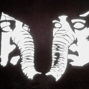 Pre-Order: Death From Above 1979 - Private Lives [CD]
