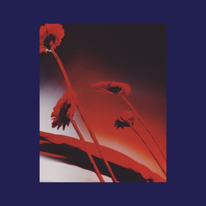 Pre-Order: Nothing Ever Was: Compiled By Dj Sundae / Var - Nothing Ever Was: Compiled By Dj Sundae / Var [LP]