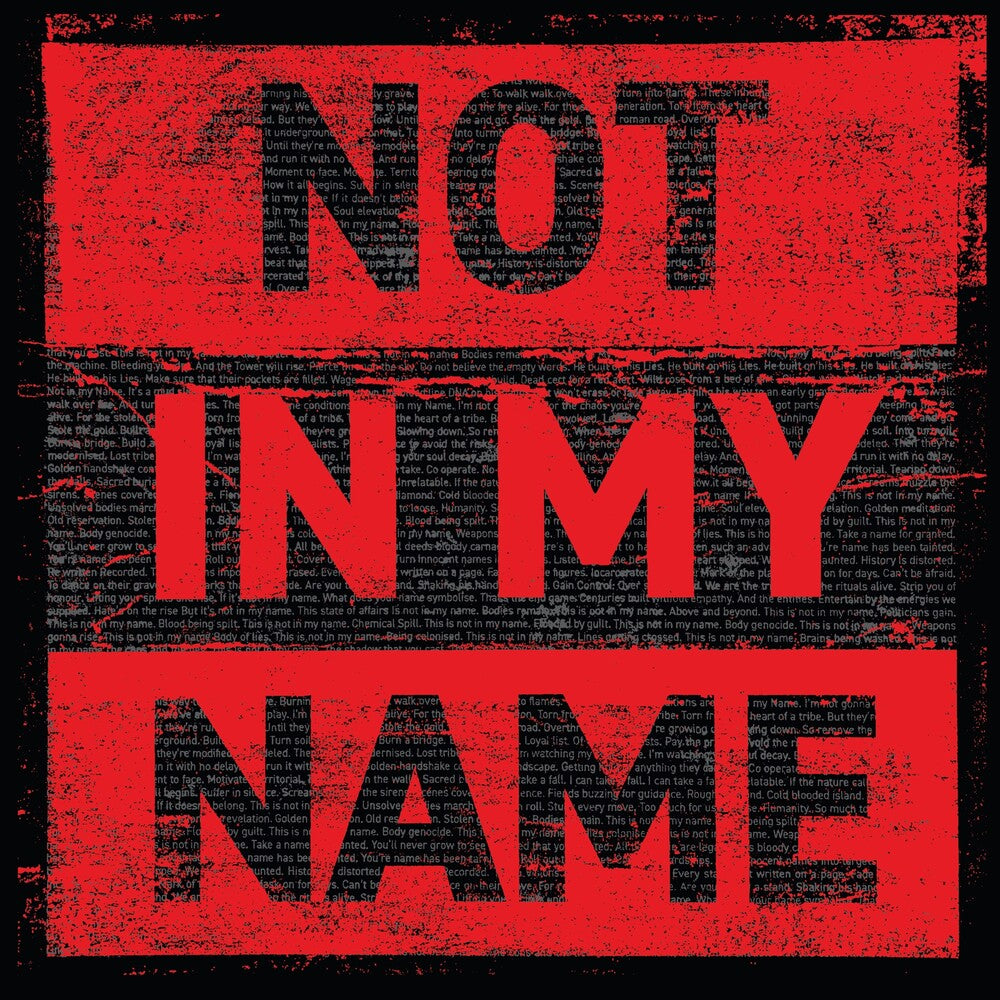 the album cover for Archive - Not In My Name