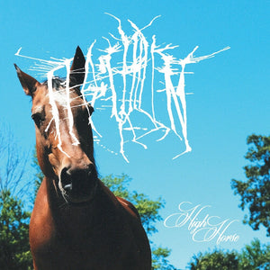 Pre-Order: Ffo: Chillin - High Horse [CD]