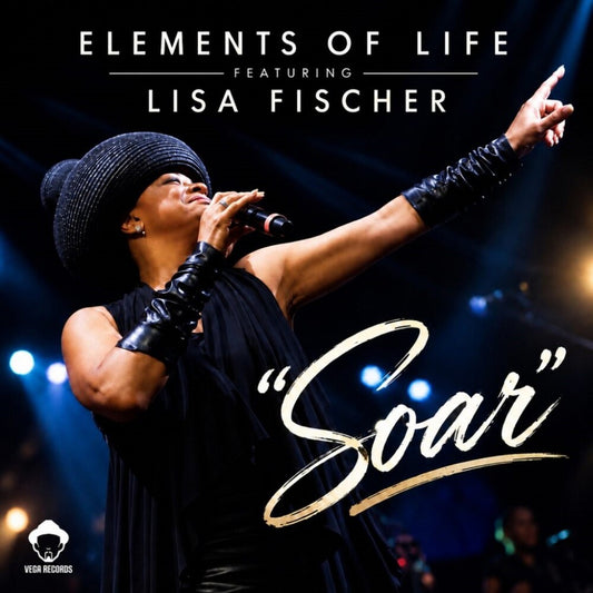 the album cover for Elements Of Life - Soar [Colored Vinyl] [180 Gram] (Ylw)