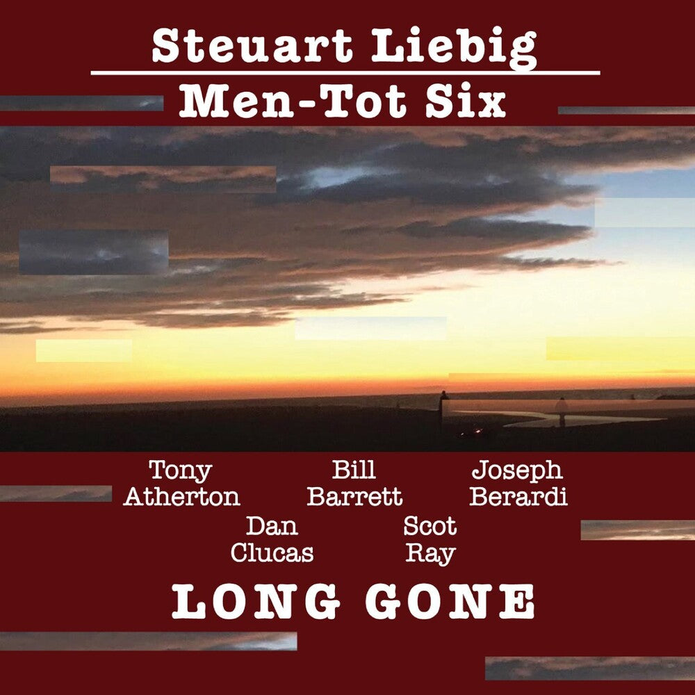 the album cover for Steuart Liebig - Long Gone