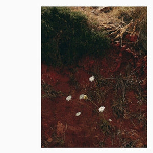 Pre-Order: Andrew Tuttle  / Darren Cross - At/Dc [CD]