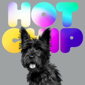 Pre-Order: Hot Chip - Long Way From Kansas [CD]