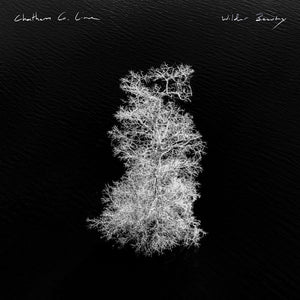 Pre-Order: Chatham County Line - Wilder Beauty [CD]