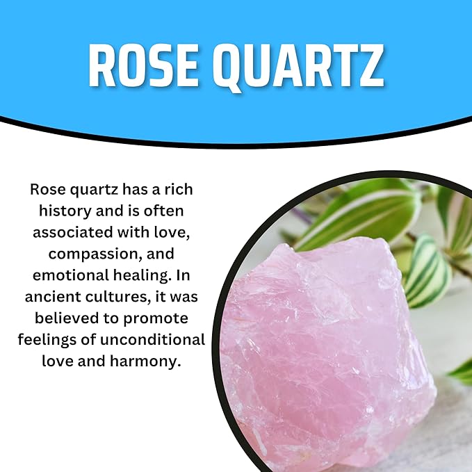 TruEnergy Rose Quartz Palm Stone - 2"-3"