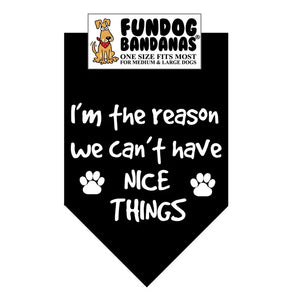 FunDog Bandanas I'm The Reason We Don't Have Nice Things Dog Bandana - Assorted Colors