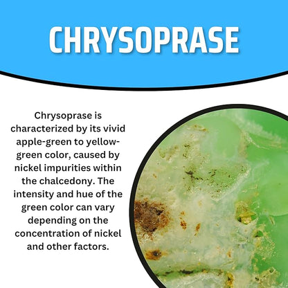 TruEnergy Chrysoprase Palm Stone - 2"