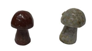 Stone Mushroom - Assorted