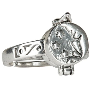 Adjustable Moon & Star Posion Ring