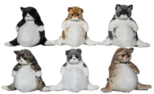 Budda Belly Cat