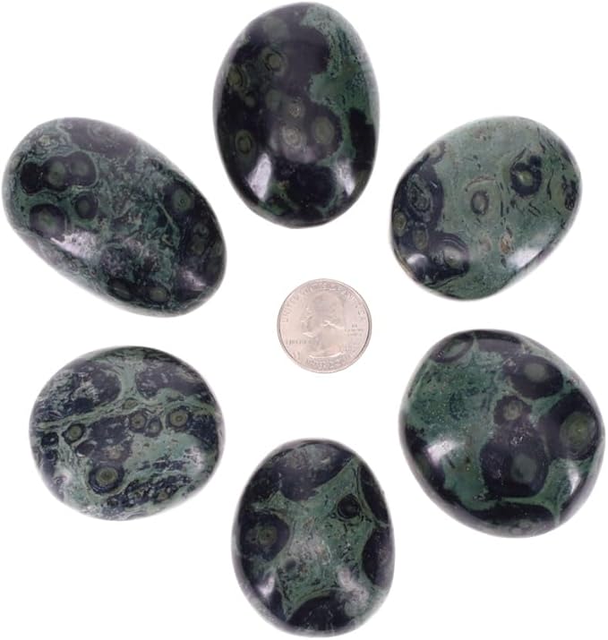 TruEnergy Kambaba Jasper Palm Stone - 2"