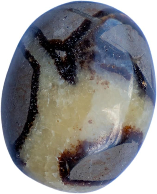 TruEnergy Septarian Palm Stone - 2"