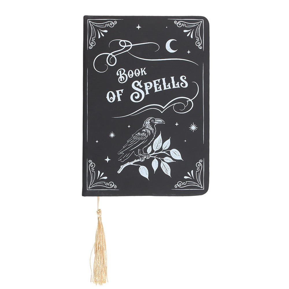 Mystic Raven Book of Spells Journal