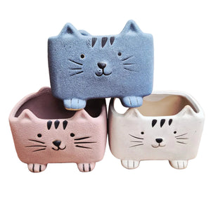 Squared Pastel Cat in Assorted Colors