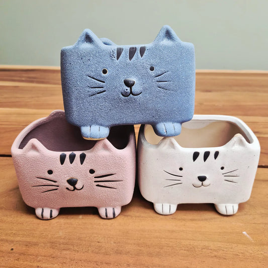 Squared Pastel Cat in Assorted Colors