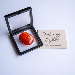TruEnergy Carnelian Palm Stone - 2"