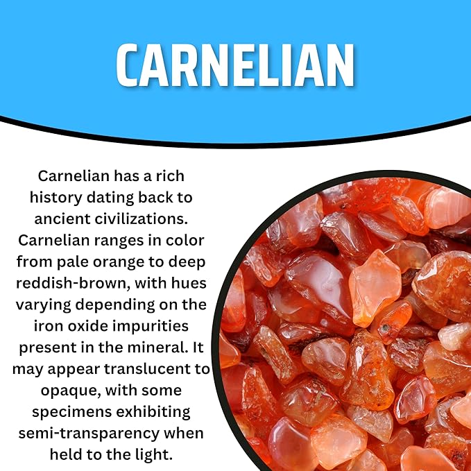 TruEnergy Carnelian Palm Stone - 2"