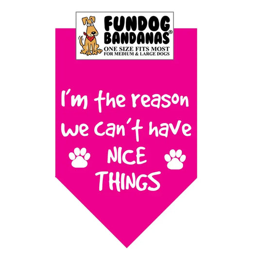 FunDog Bandanas I'm The Reason We Don't Have Nice Things Dog Bandana - Assorted Colors