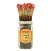 Champa Flower Wild Berry Incense Sticks