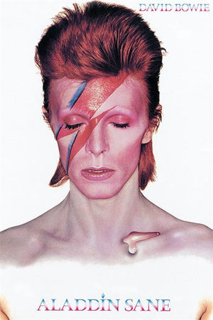 David Bowie Aladdin Sane Poster