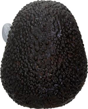 Furrybones® Hass - 2.75 inch