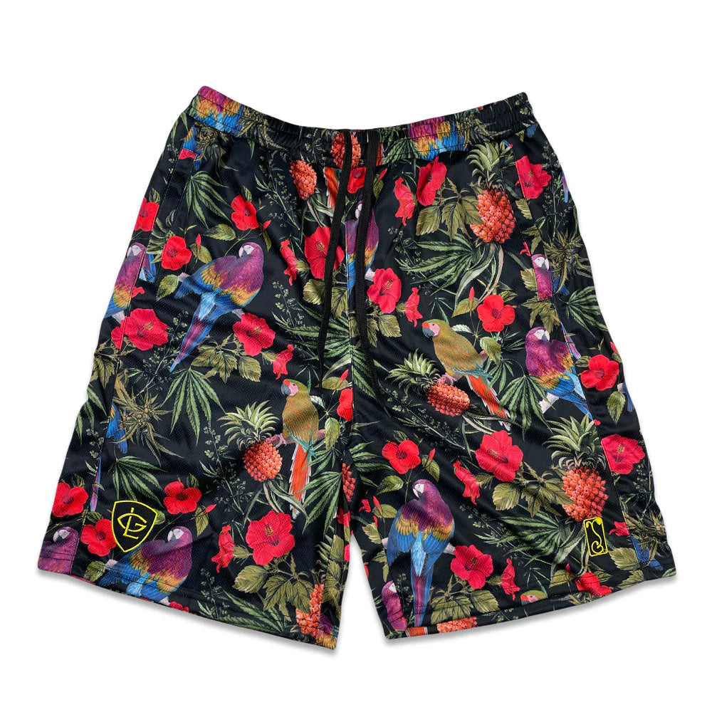 Grassroots California Greg Lutzka Ganja Bahama Taffy Mesh Shorts SALE