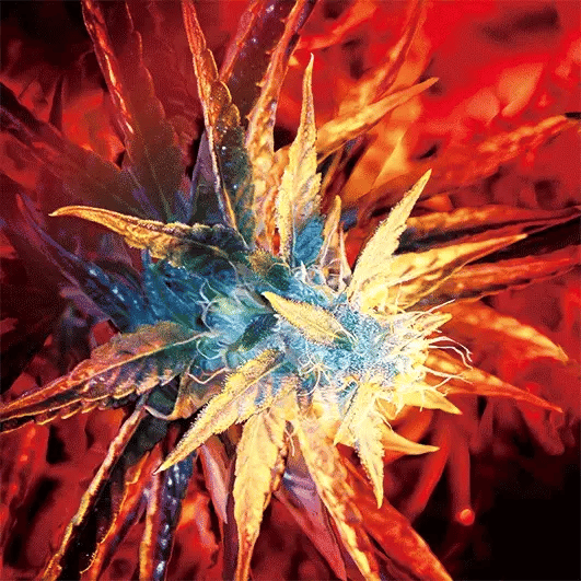 Red Flower 3D Lenticular Flat Art Print 14" x 14"