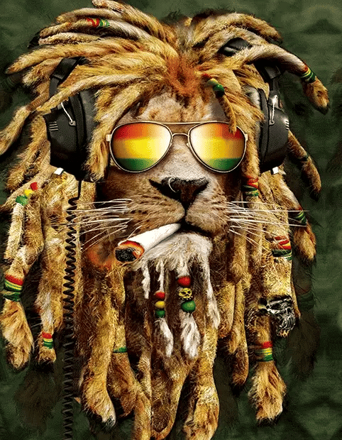 Rasta Lion 3D Lenticular Internally Framed Art 14" x 18"