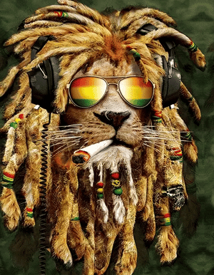 Rasta Lion 3D Lenticular Internally Framed Art 14" x 18"