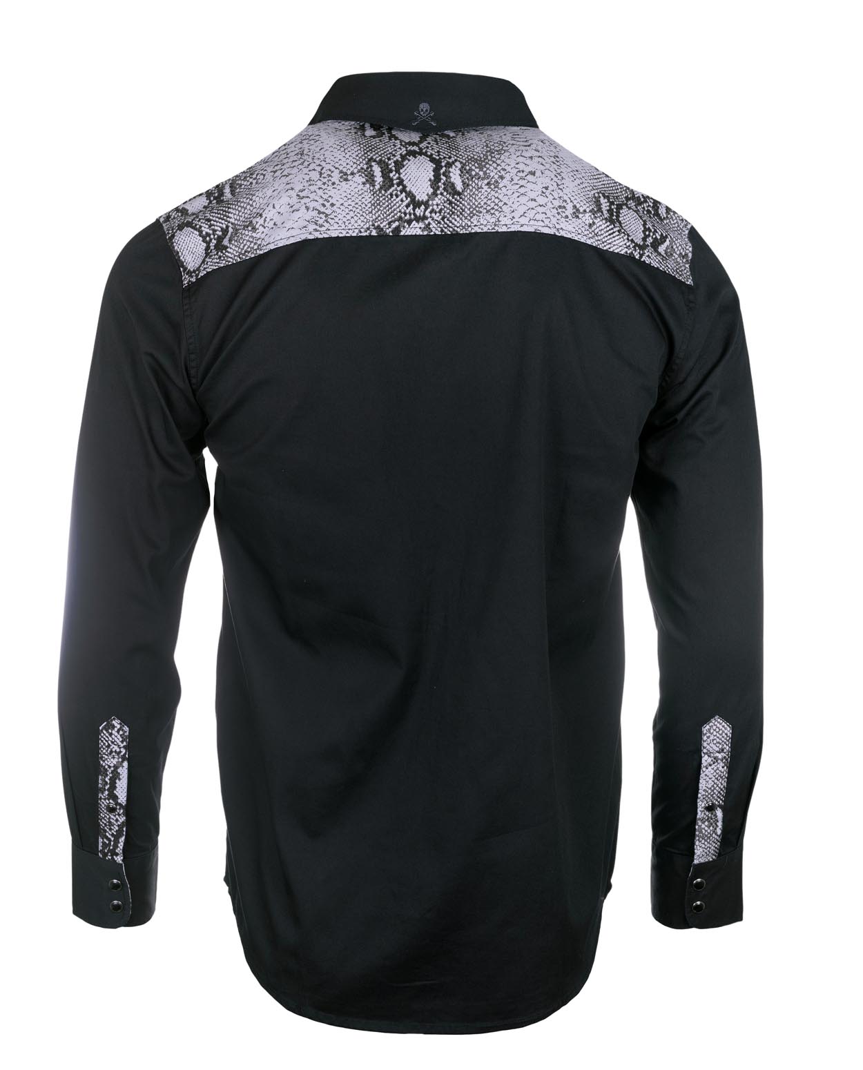 Stargazer Grey