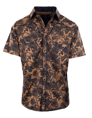 S/S Brown Sugar
