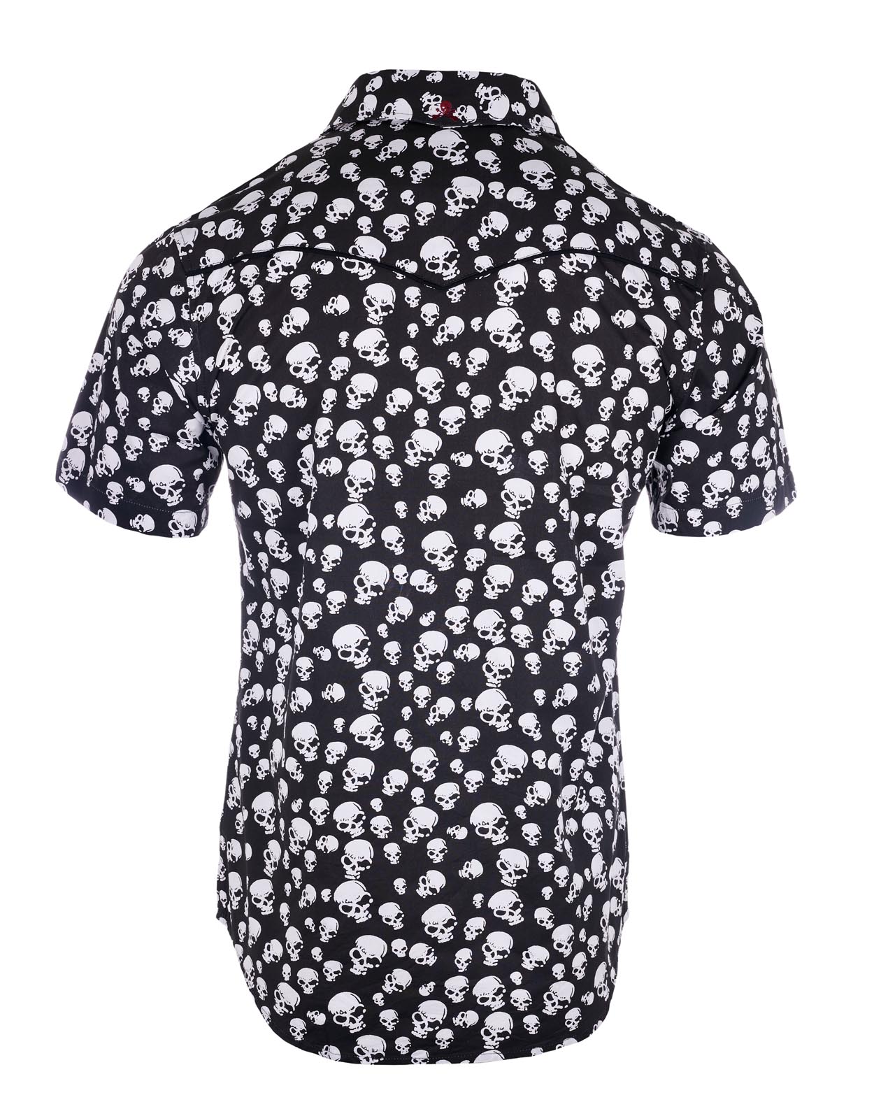 S/S Pompeii