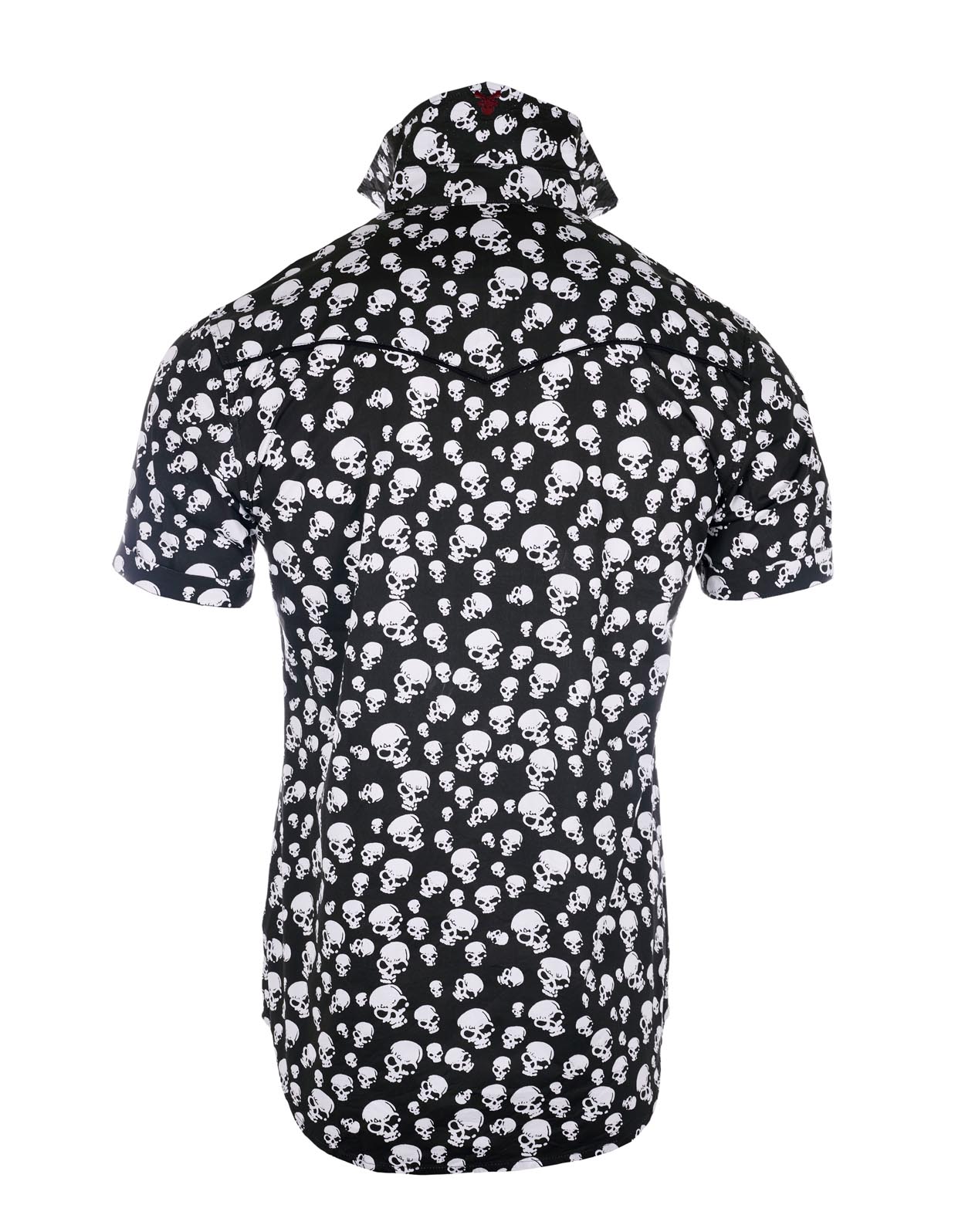 S/S Pompeii