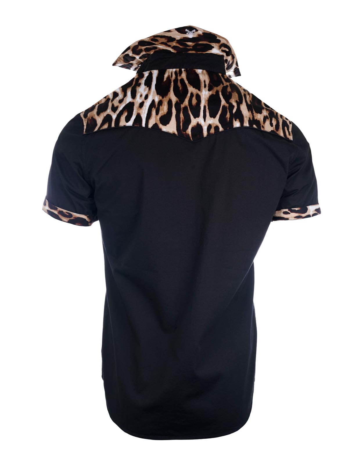 S/S Tennessee Stud